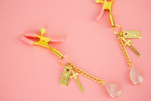 Load image into Gallery viewer, Romantasy Nipple Clamps