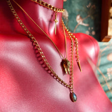 Load image into Gallery viewer, Cold Blooded Choker & Necklace