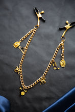 Load image into Gallery viewer, Rub My Saddle Clamps
