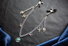 Load image into Gallery viewer, Rub My Saddle Clamps
